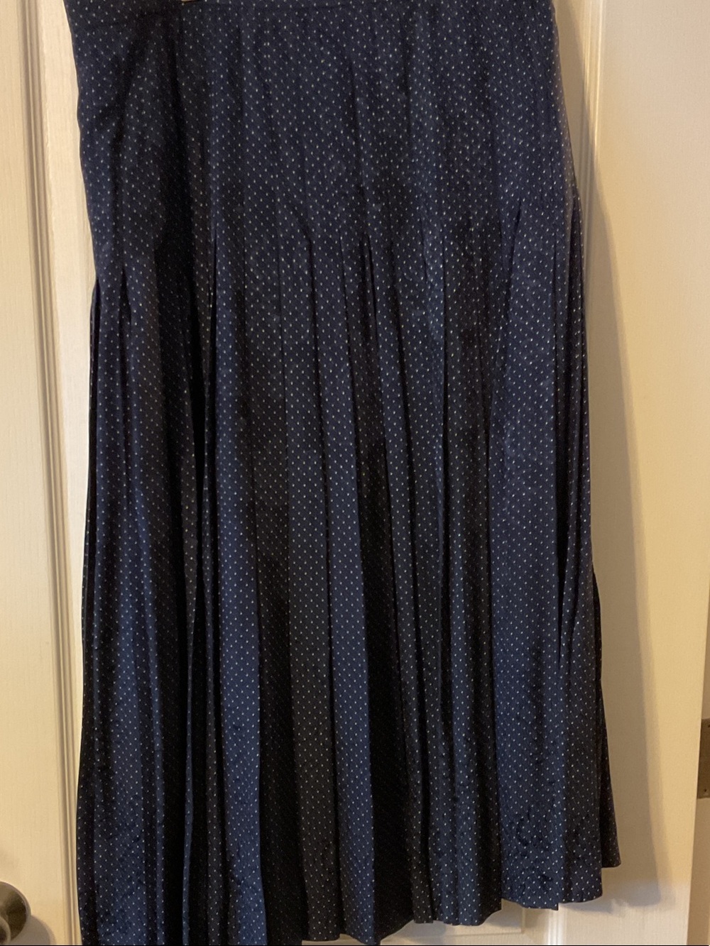 Pleated silk Navy Maxi Skirt with White Micro Dots